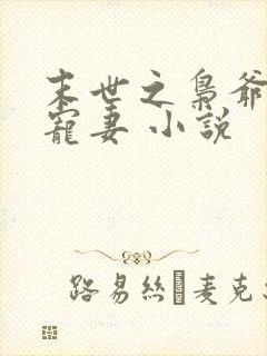 末世之枭爷实力宠妻 小说