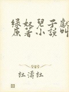 绿奴儿子献大宇原著小说叫什么名字