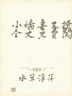 小娇妻又撩又甜全文免费阅读