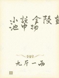 小说 金陵岂是池中物