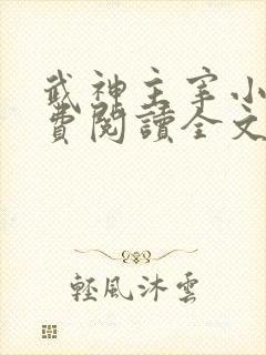 武神主宰小说免费阅读全文洛尘