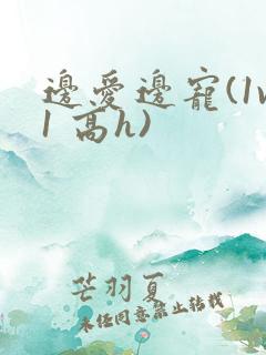 边爱边宠(1v1 高h)