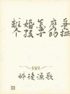 离婚怎么争夺两个孩子的抚养权