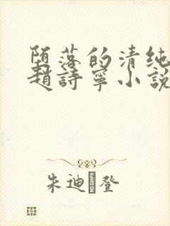 堕落的清纯校花赵诗宁小说免费阅读