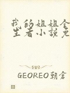 我的姐姐全是重生者小说免费阅读