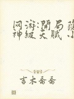 网游:开局获得神级天赋 小说