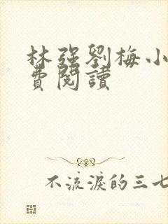 林强刘梅小说免费阅读