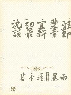 沈初宜裴淮聿小说最新章节免费阅读