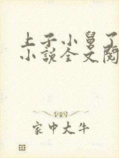 上子小舅了老婆小说全文阅读