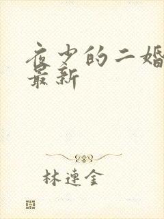 夜少的二婚新妻最新