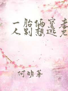 一胎俩宝老婆大人别想逃免费观看