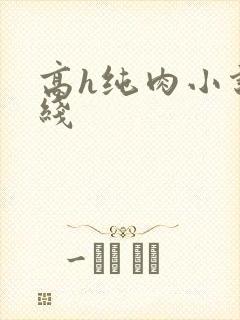 高h纯肉小说在线