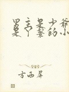 男主是少爷女主是丫鬟的小说