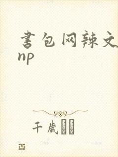 书包网辣文调教np