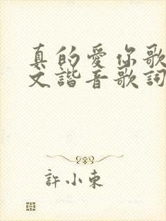 真的爱你歌词中文谐音歌词