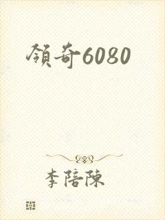 领奇6080