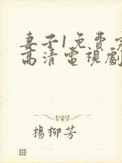 妻子1免费完整高清电视剧