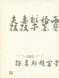 夫妻离婚两个男孩孩子怎么判