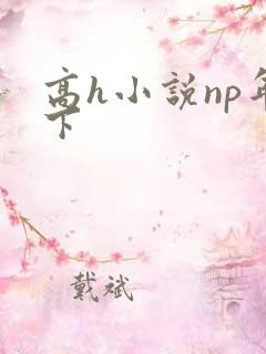 高h小说np年下