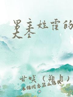 男主姓霍的小说大全