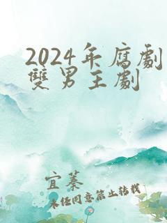 2024年腐剧双男主剧