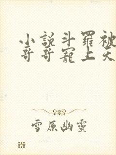 小说斗罗被唐三哥哥宠上天