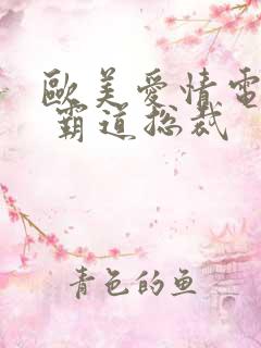 欧美爱情电视剧 霸道总裁