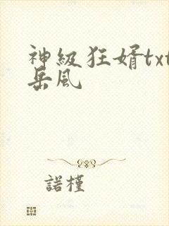 神级狂婿txt岳风