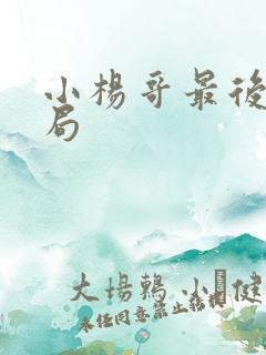 小杨哥最后的结局