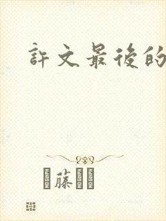 许文最后的结局