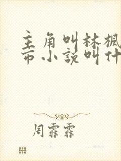 主角叫林枫的都市小说叫什么