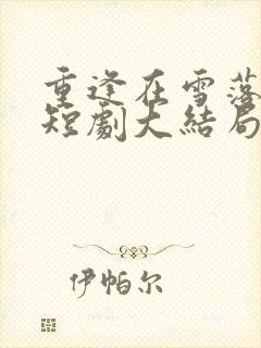 重逢在雪落之前短剧大结局