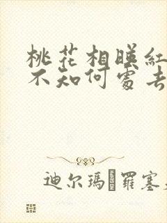 桃花相映红人面不知何处去桃花依旧笑春风