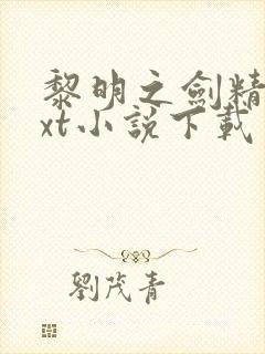 黎明之剑精校txt小说下载