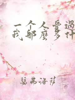 一个人爱过我给我那么多什么歌