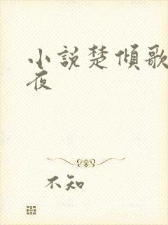 小说楚倾歌风漓夜