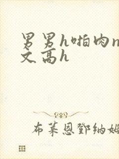 男男h啪肉np文高h