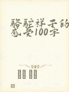 骆驼祥子的读后感受100字