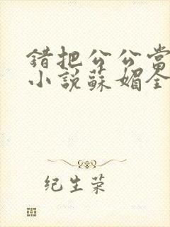 错把公公当老公小说苏媚全文阅读