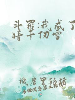 斗罗:我成了黑暗千仞雪