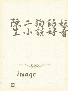 陈二狗的妖孽人生小说好看吗