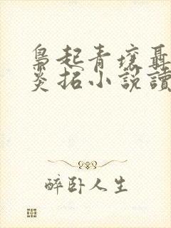 枭起青壤聂九罗炎拓小说读