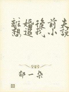 离婚后前夫总是想追我小说txt全文下载