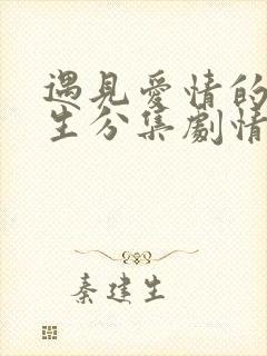 遇见爱情的利先生分集剧情介绍