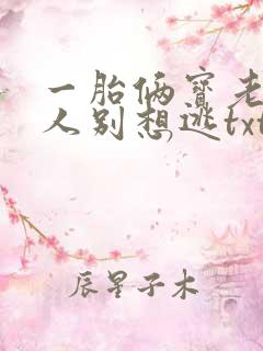 一胎俩宝老婆大人别想逃txt下载