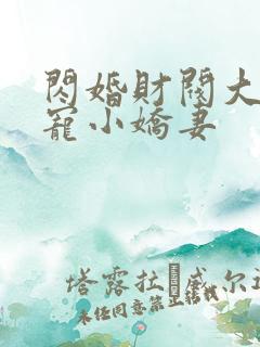 闪婚财阀大叔强宠小娇妻