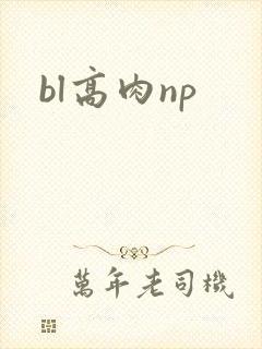 bl高肉np