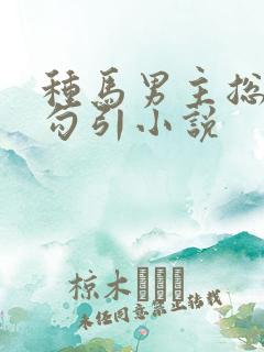 种马男主总是被勾引小说