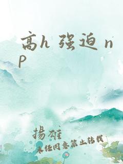 高h 强迫 np
