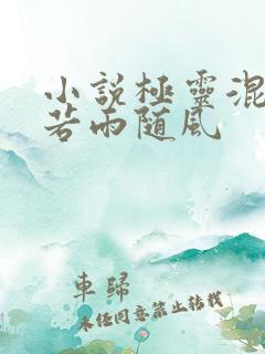 小说极灵混沌决若雨随风